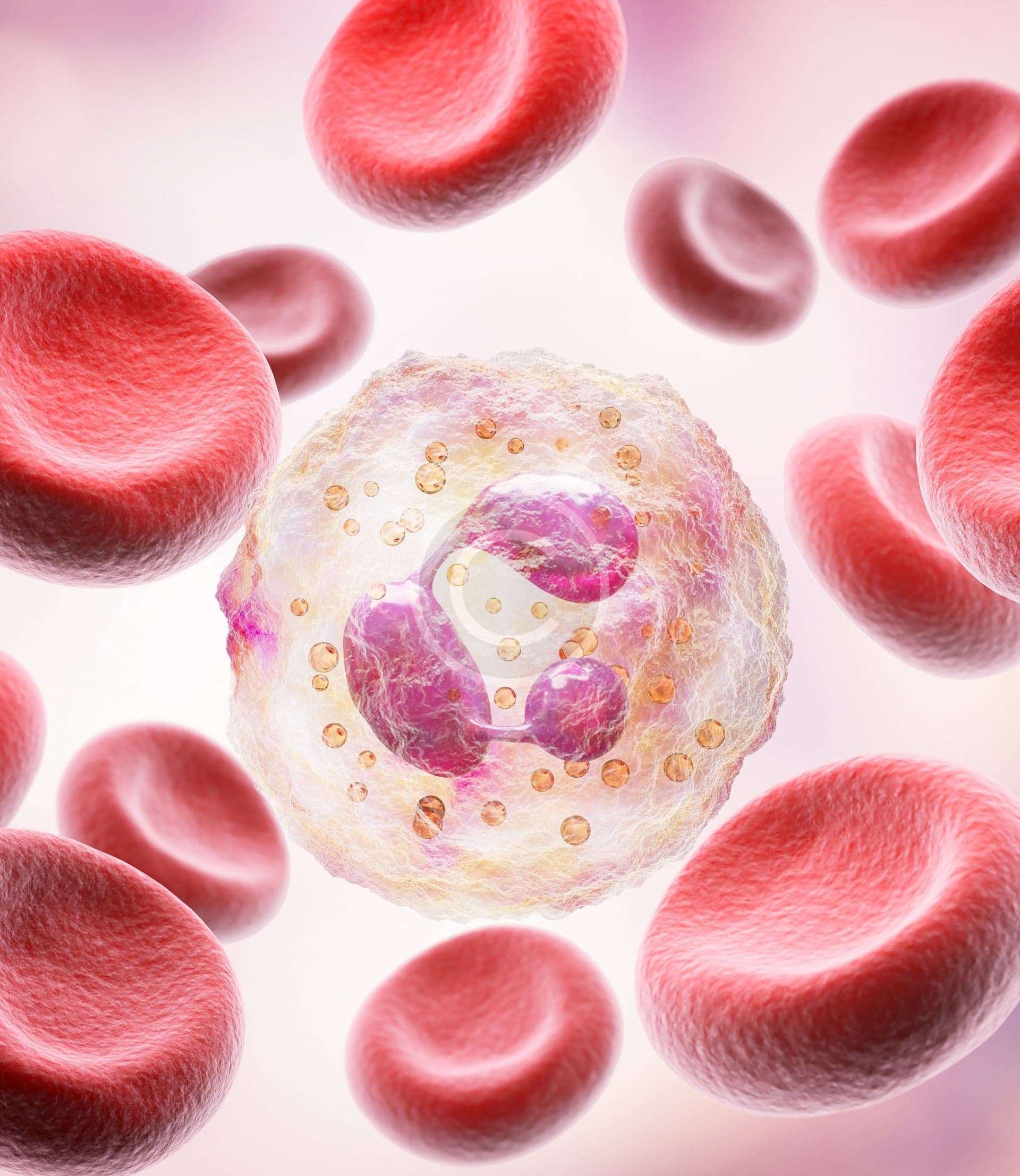 Neuro-Psycho-Energetic Therapy