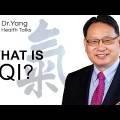 What does Qi mean in traditional Chinese medicine?